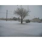 Yucca Valley: : joshuatree december 17,2008 snow storm