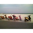 Pensacola: : Mopeds on the Beach