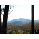 Blairsville: : Picture of the mountains from my house.