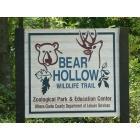 Athens: Bear Hollow Trail