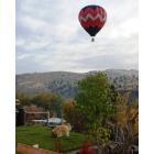 Mount Vernon: : Hot air Balloon Over Mt Vernon Oct 24th 2008