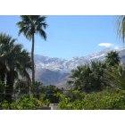 Palm Springs: : Mountains turned gree from rain