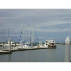 Marco Island: : Boating, minutes to easy Gulf access from the Marco River