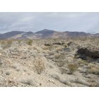 North Las Vegas: typical Mojave Desert wash