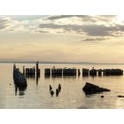 Bombay Beach: : The lagoon at sunset at Bombay Beach,come and enjoy