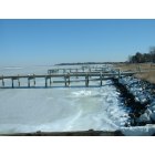 Deal Island: : Winter view of the Shoreline at Rock Creek Park-Chance, MD
