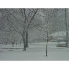 Columbus: : March 1st, 2009 snowfall