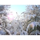 Vineland: Fresh Snowfall February 2009