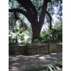 San Antonio: : Fountain at the Alamo