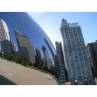 Chicago: : Millenium Park