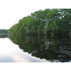 Waltham: Charles River along Forest Grove Reservation