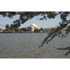Washington: : Jefferson Memorial across Tidal Basin