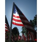 Klamath Falls: : 1 of !000 flags