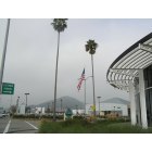 San Rafael: : Flag and Palms of San Rafael