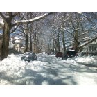 Morrisville: Snow Storm 2010