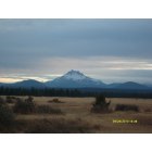 Warm Springs: Mt. Jefferson with horses in field at sunset on road toward Trout Lake at Warm Springs Oregon