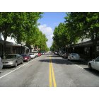 Lakeland: : Tree-lined streets of South Kentucky Avenue in Downtown Lakeland (2004)