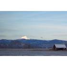 Tygh Valley, OR : Mt. Hood view from Tygh Valley, Or photo, picture ...