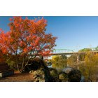 Oroville: : feather river fall colors