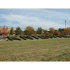 New Lenox: : Lincoln-Way Central "Knights" berm