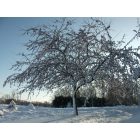 Suamico: Winter wonderland