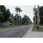 Punta Gorda: : Marion Avenue in the Historic Residential District