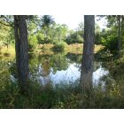 North Fort Myers: : North Fort Myers Property with own lake