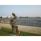 Fort Walton Beach: : Pelican Statue and Santa Rosa Sound - Sound Park - Fort Walton Beach, FL
