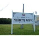Mulberry Grove: : Welcome to Mulberry Grove