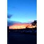 Bloomingdale: : Sunset.