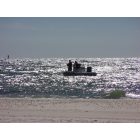 Orange Beach: : Another day in the gulf