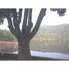 Wilburton: Calm Waters - Big Tree by the Dam