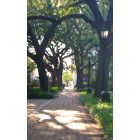 Savannah: : Johnson Square