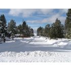 Deschutes River Woods: Typical street view in winter. The roads are plowed by Deschutes County.