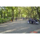 Manhattan: : Central Park