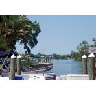 Homosassa: : Sitting at the Dock at MacRae's looking down the river during scallop season.