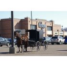 Mount Vernon: Amish buggie in Krogers parking lot