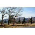 Yucca Valley: : view north