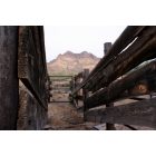 Superior: : Cattle stables at the 88