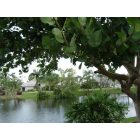North Fort Myers: : Pond in Palm Island Community - N Ft Myers