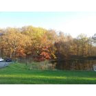 Hermitage: lake wood apt. in fall