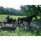 Volant: Amish in Volant, PA