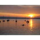Port Townsend: : Late June 2008 Sunrise over Port Townsend Bay