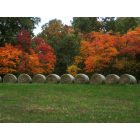 Ava: : Hay Bales in the fall