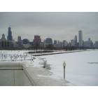 Chicago: : Skyline view from Shedd Aquarium