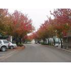 Alachua: Main Street in fall