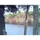 Slatington: fall leaves changing color alon the lehigh river / south side of the bridge