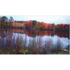 Millis: Richardson's Pond in the fall
