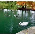 Stillwater: : Theta Pond on the OSU campus