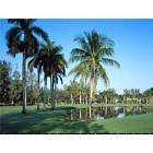Miami Lakes: Miami Lakes Golf course